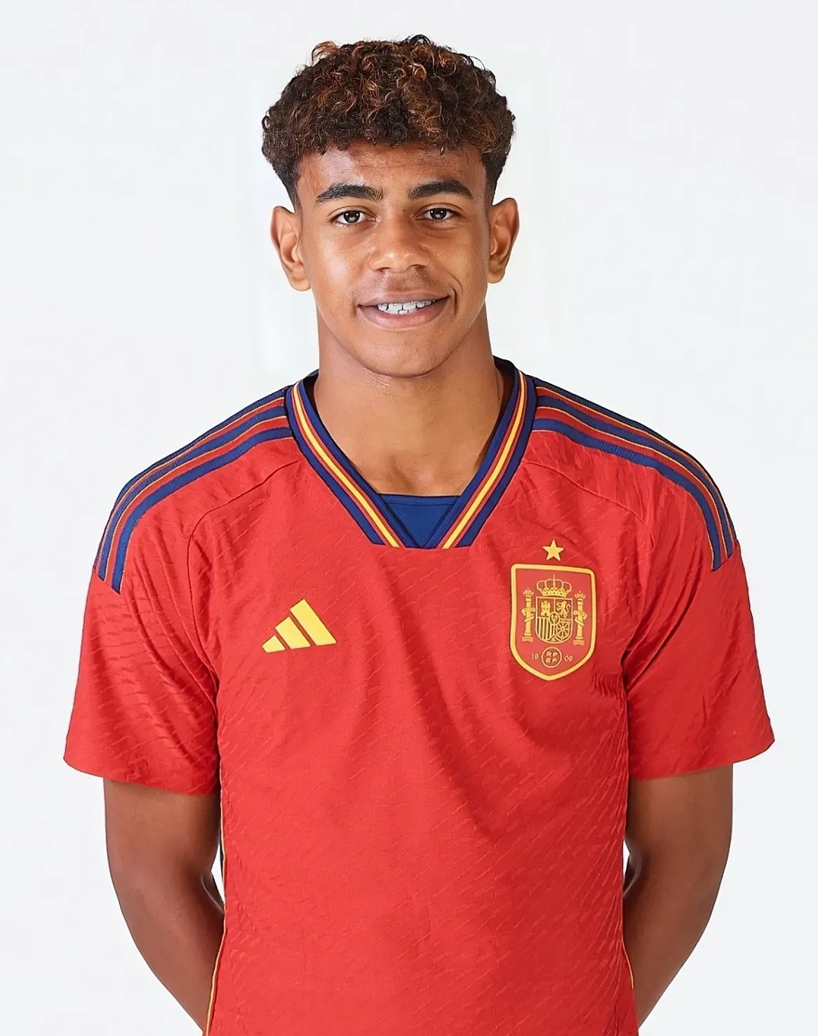 维希涅夫斯基：主场对阵荷兰是梦想，上场吃牌是因不懂规则